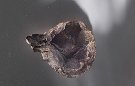 Acheulean Hand Ax, Lower Paleolithic period