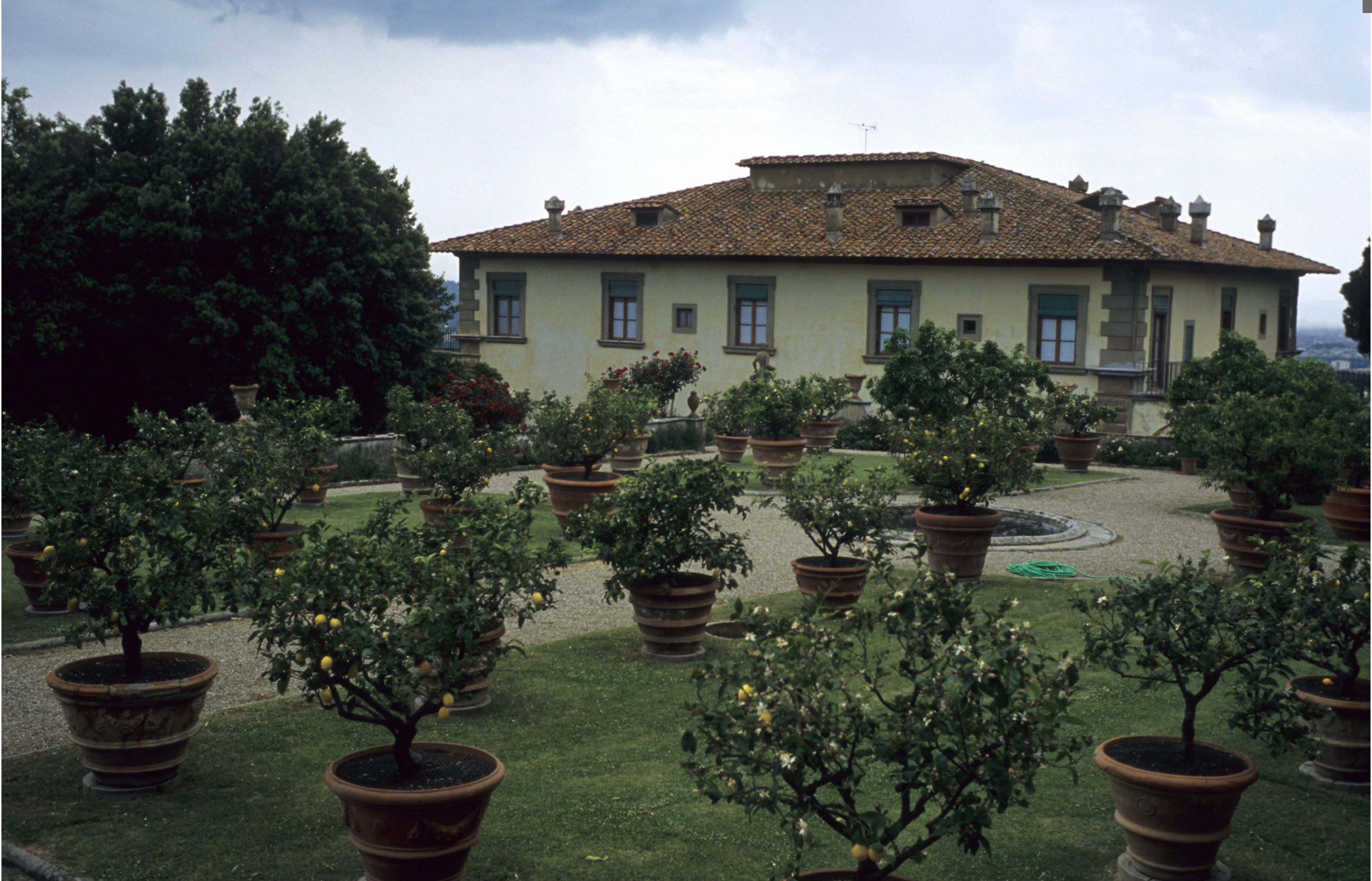 A building with rectangular paned windows and a tiled roof stands behind a garden filled with potted citrus trees interspersed across a lawn with a gravel path.