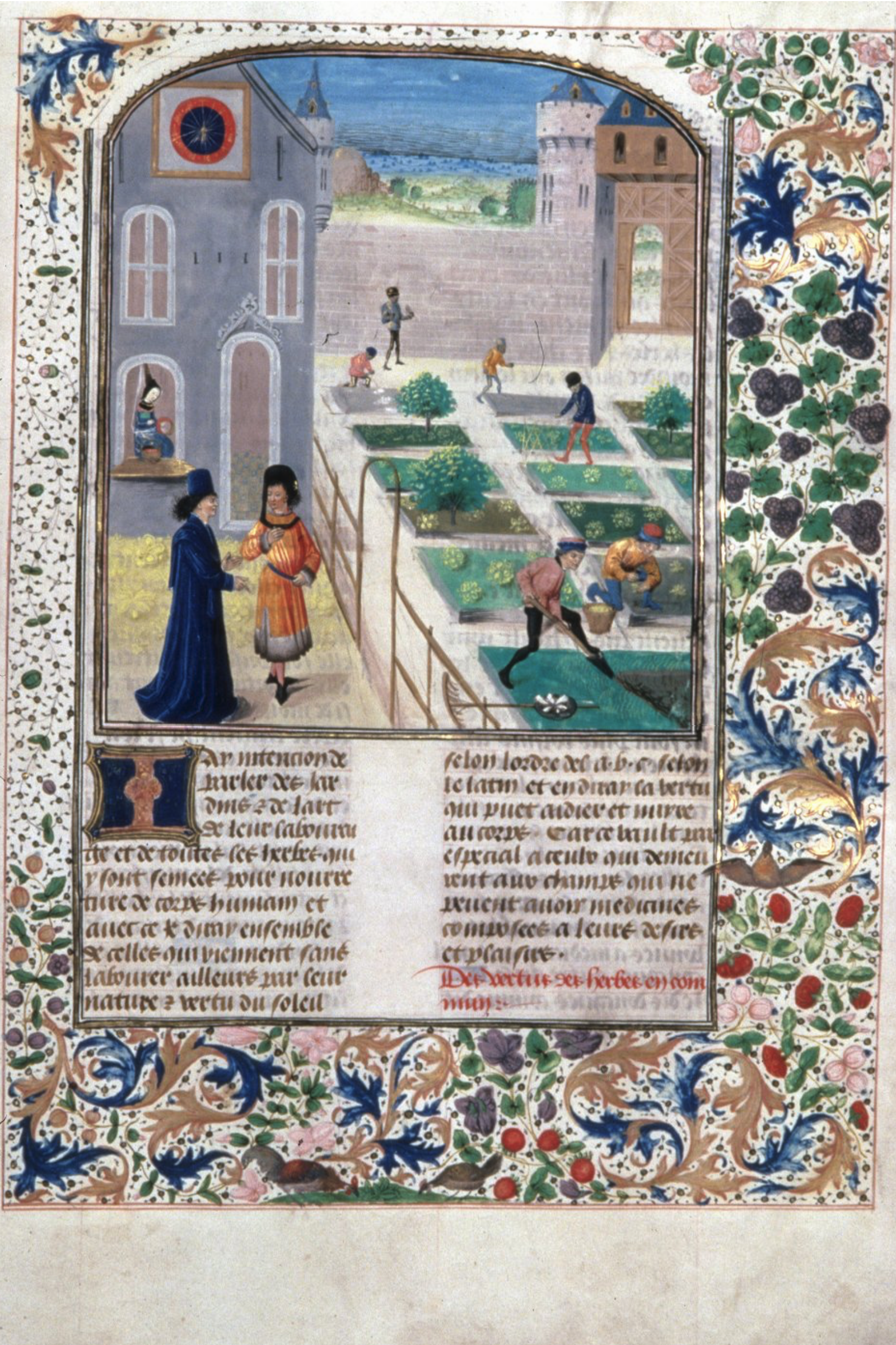 An illuminated manuscript page shows two men conversing near a building, while others tend a garden with raised beds. The border is decorated with colorful floral and vegetal motifs. Text is written below the image.