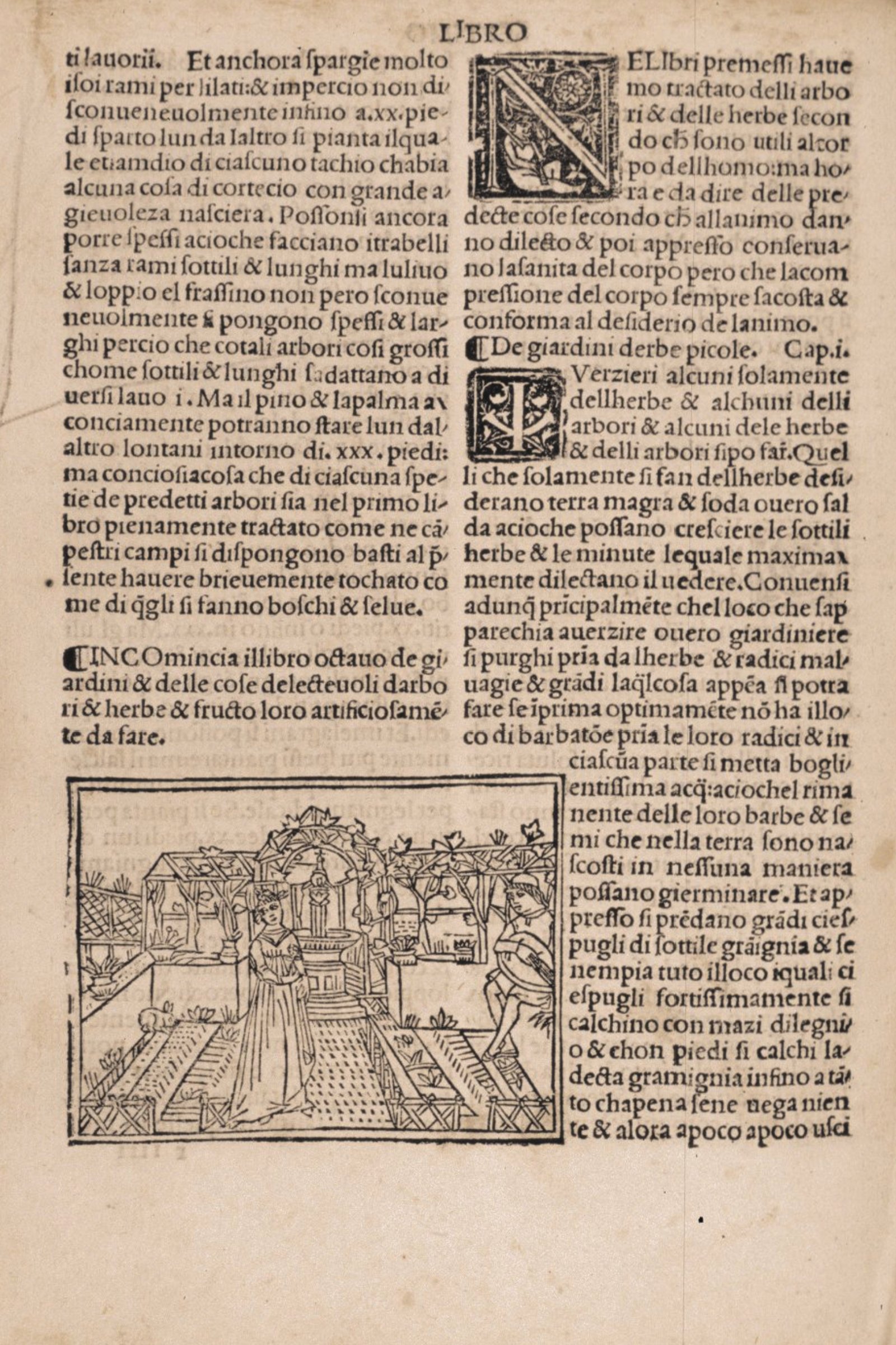 A page of a printed book in early Italian featuring dense Gothic text, decorative initial letters, and a woodcut illustration depicting figures in a formal garden with raised beds and a fountain.