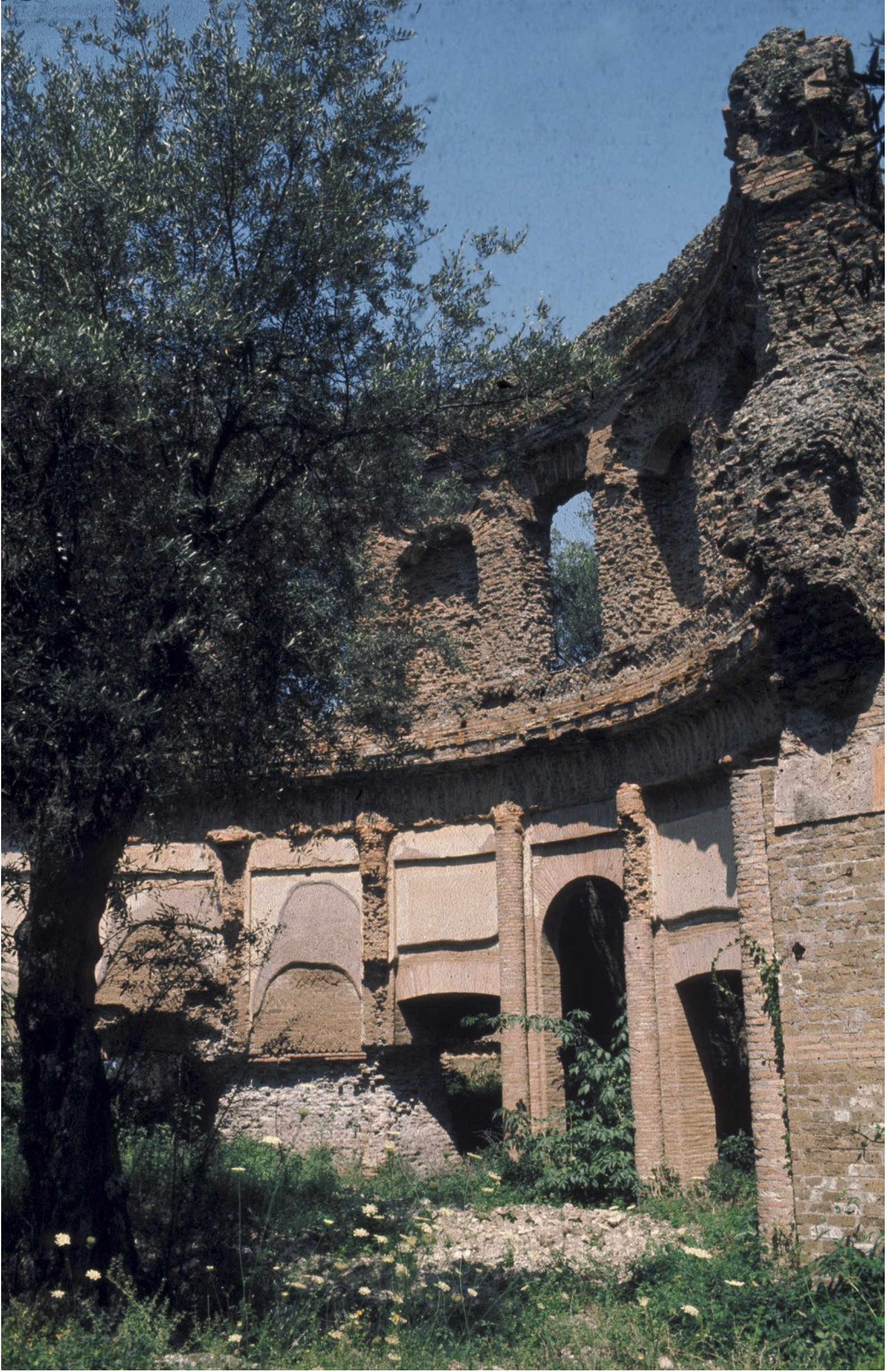 Ruins of a brick building with two stories of tall arches, partially covered by overgrown vegetation and a tall tree.