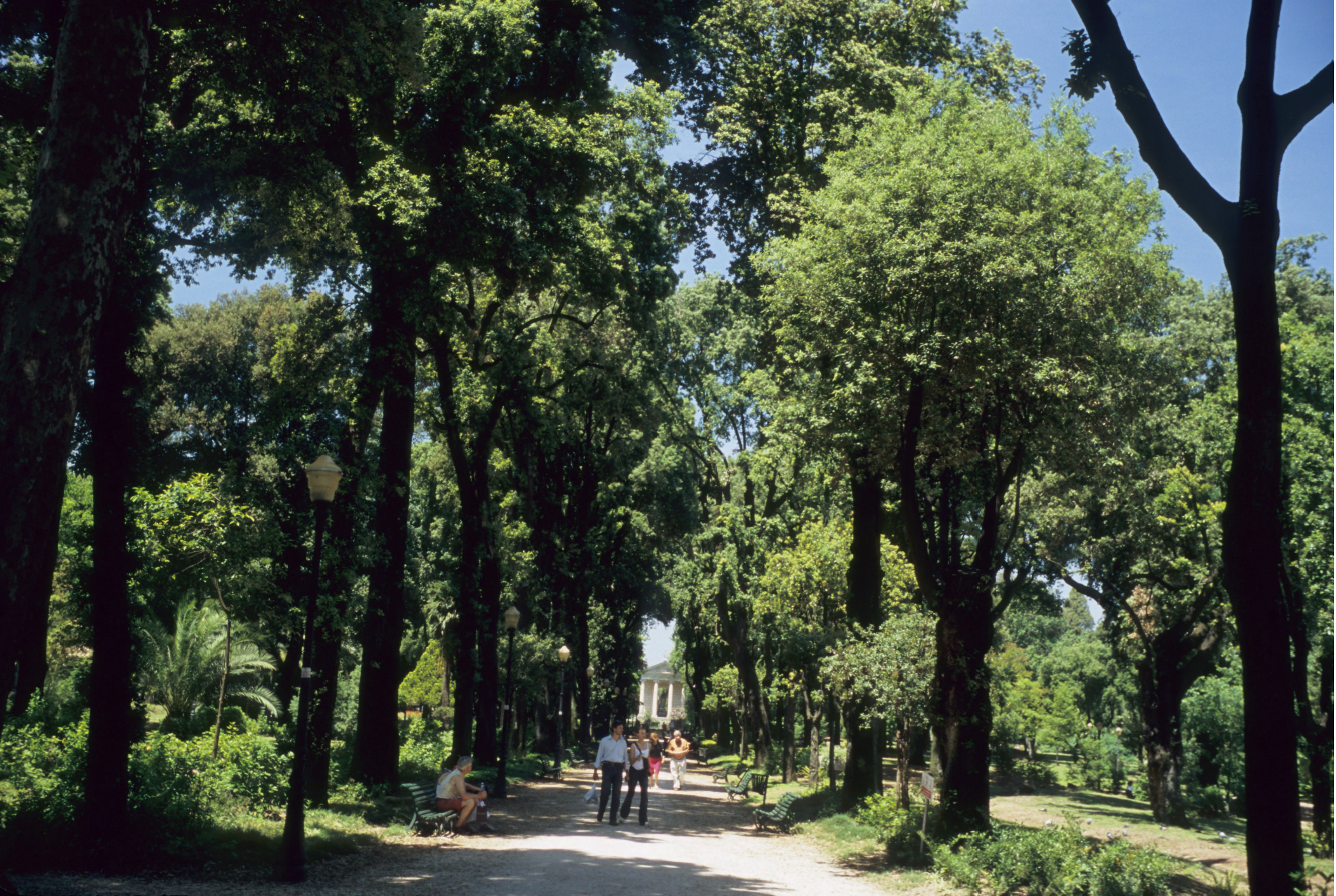 A long pathway bordered by tall trees, lampposts, and greenery; people walk and socialize along the path and a building is visible in the background.