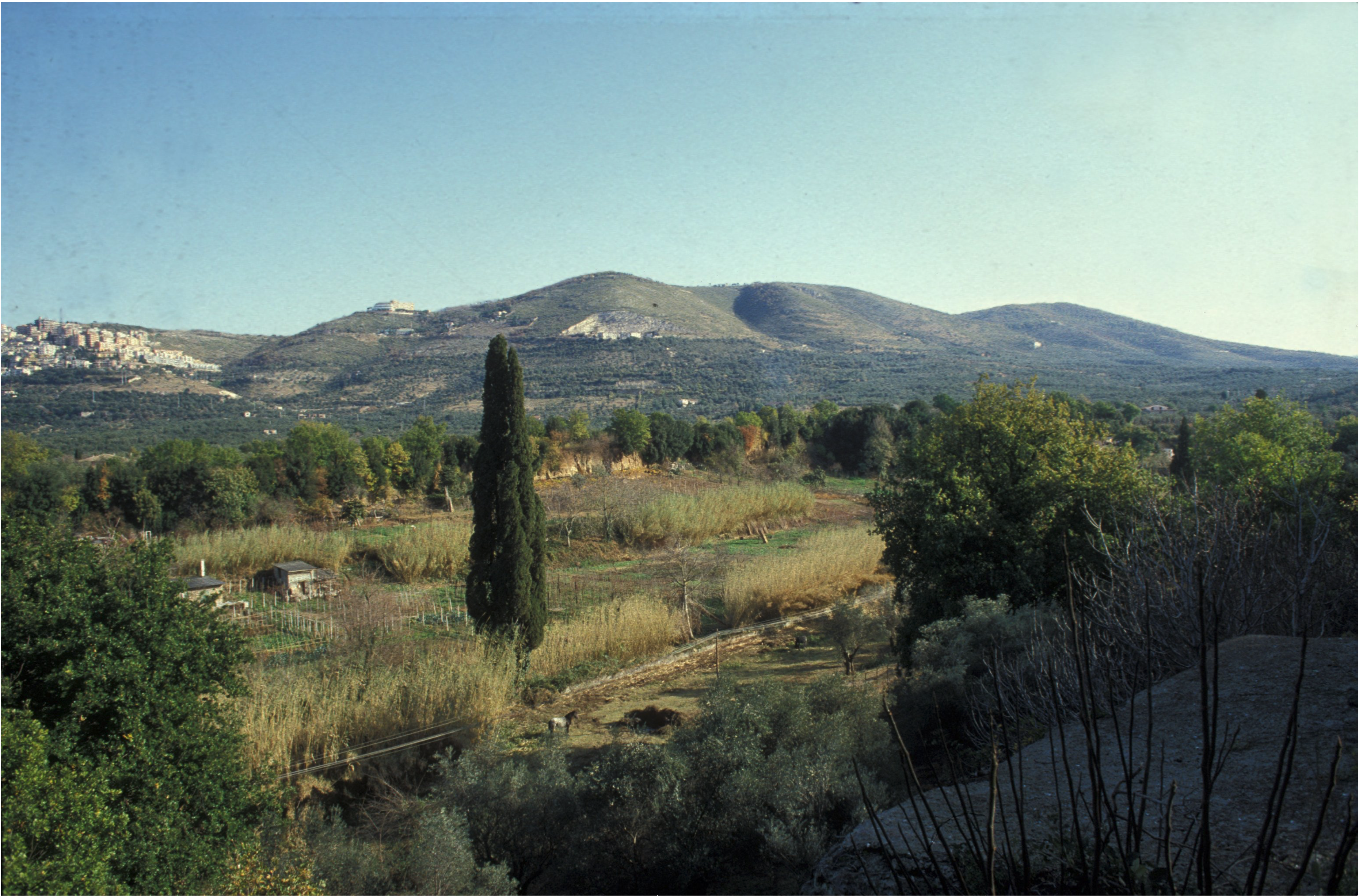 A rural landscape with farmland, low buildings, a tall cypress tree, and mixed vegetation in the foreground. Rolling hills and a hillside town are visible in the background under a clear blue sky.