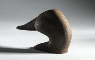 Duck head