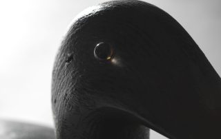 Wooden Decoy, Black Duck