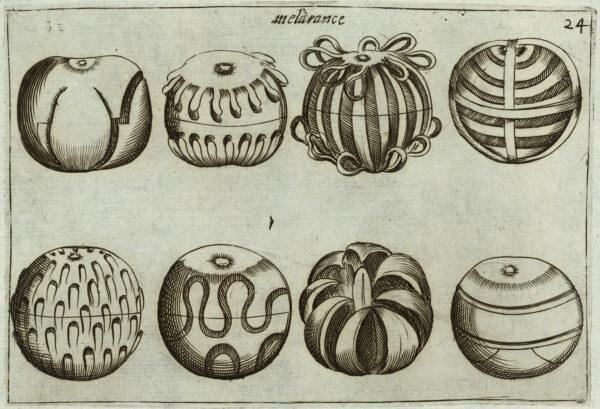 A book illustration featuring eight different ways to carve an orange. The page is titled "melarance" with the page number, "24," at the top.