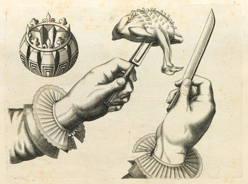 An illustration depicting the carving technique for a small bird using a knife and fork. The sleeves of the carver are decorated with pleated, lace-trimmed, linen collars. In the upper-left corner is a segmented sphere adorned with a crown.