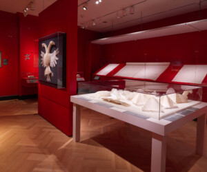 Detail of the Folding by the Book section of the "Staging the Table in Europe 1500-1800" exhibition installation featuring a case of folded napkin examples.